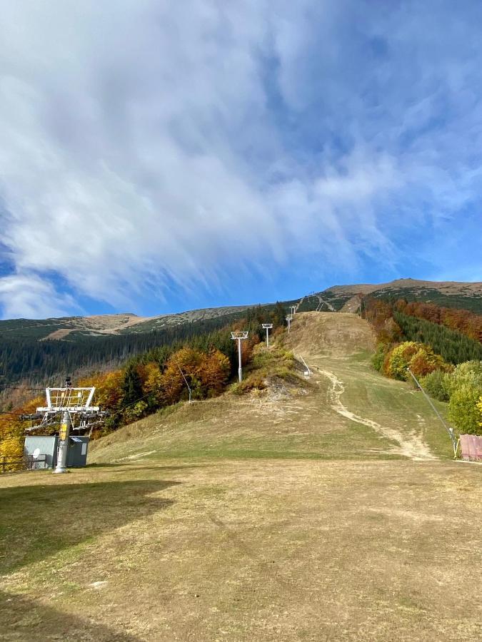 Apartment Anna Chopok 1 110 m - Unique Location - Skiing - Ďumbier - Low Tatras Demänovská Dolina Extérieur photo